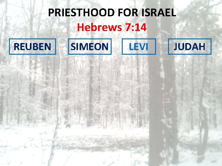 PRIESTHOOD FOR ISRAEL Hebrews 7: 14 REUBEN SIMEON LEVI JUDAH 