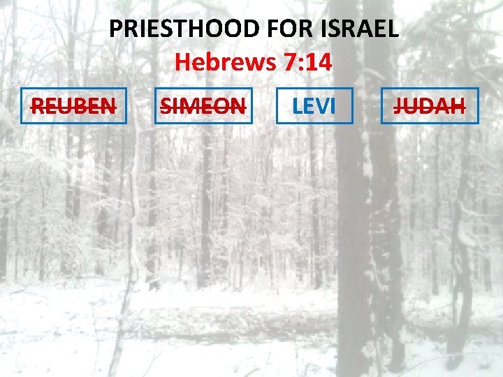 PRIESTHOOD FOR ISRAEL Hebrews 7: 14 REUBEN SIMEON LEVI JUDAH 