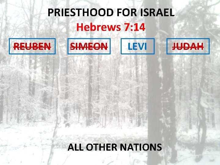 PRIESTHOOD FOR ISRAEL Hebrews 7: 14 REUBEN SIMEON LEVI ALL OTHER NATIONS JUDAH 