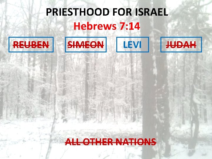 PRIESTHOOD FOR ISRAEL Hebrews 7: 14 REUBEN SIMEON LEVI ALL OTHER NATIONS JUDAH 