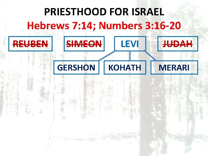 PRIESTHOOD FOR ISRAEL Hebrews 7: 14; Numbers 3: 16 -20 REUBEN SIMEON GERSHON LEVI