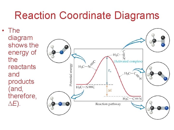 Reaction Coordinate Diagrams • The diagram shows the energy of the reactants and products