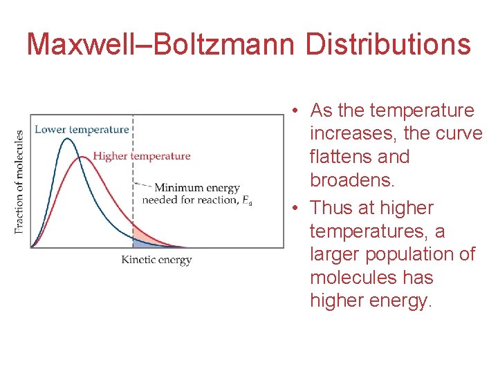 Maxwell–Boltzmann Distributions • As the temperature increases, the curve flattens and broadens. • Thus