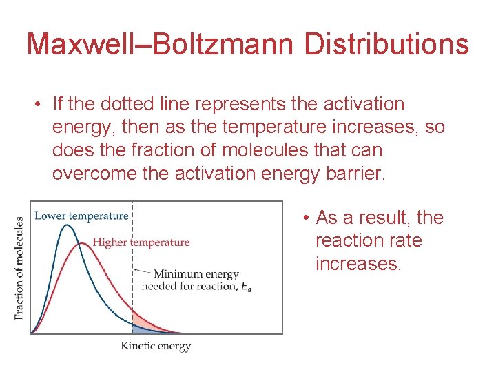 Maxwell–Boltzmann Distributions • If the dotted line represents the activation energy, then as the