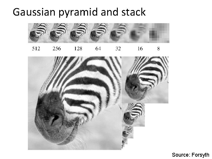 Gaussian pyramid and stack Source: Forsyth 