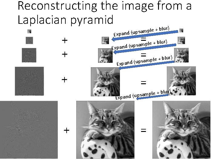 Reconstructing the image from a Laplacian pyramid lur) + + + le + b