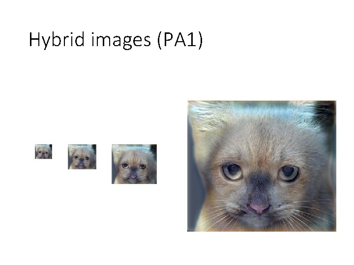 Hybrid images (PA 1) 