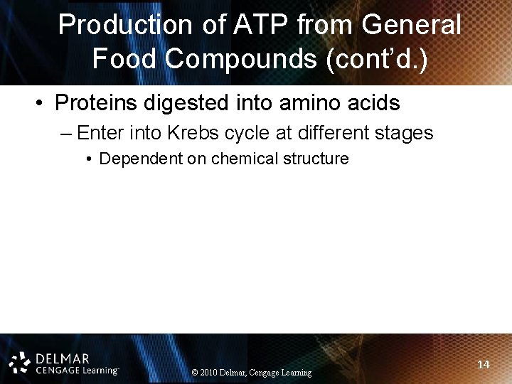 Production of ATP from General Food Compounds (cont’d. ) • Proteins digested into amino