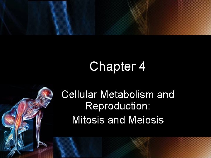 Chapter 4 Cellular Metabolism and Reproduction: Mitosis and Meiosis © 2010 Delmar, Cengage Learning