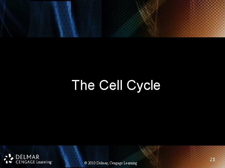 The Cell Cycle © 2010 Delmar, Cengage Learning 21 
