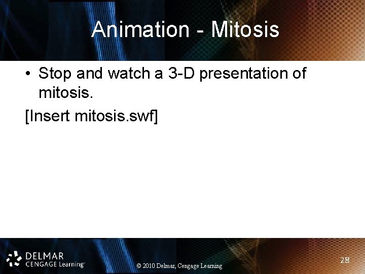 Animation - Mitosis • Stop and watch a 3 -D presentation of mitosis. [Insert