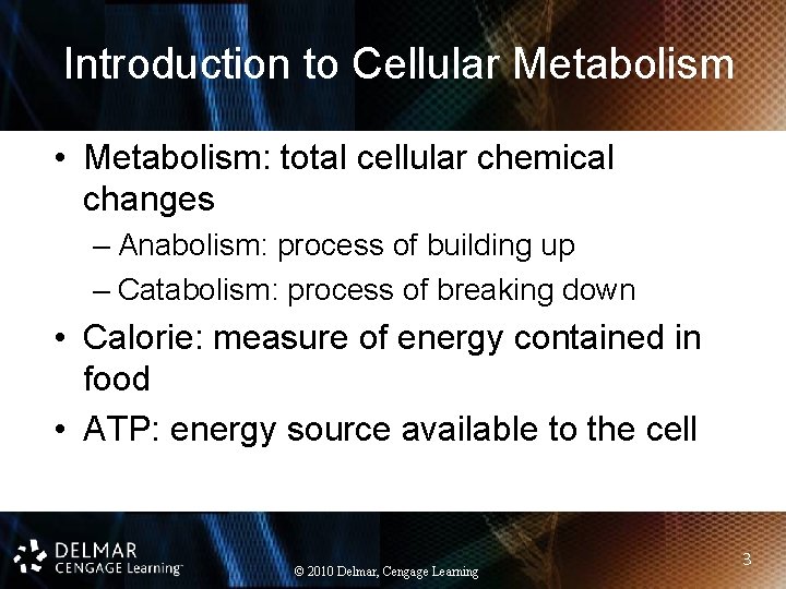 Introduction to Cellular Metabolism • Metabolism: total cellular chemical changes – Anabolism: process of