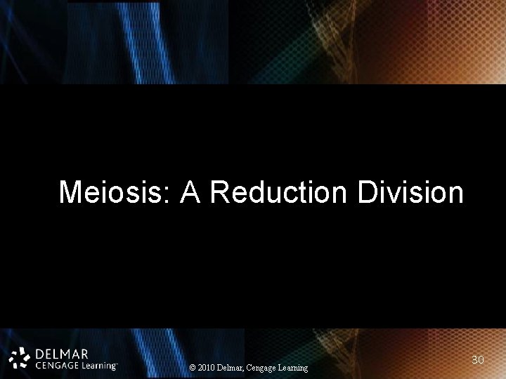 Meiosis: A Reduction Division © 2010 Delmar, Cengage Learning 30 