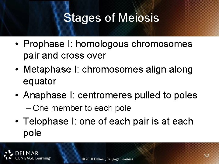 Stages of Meiosis • Prophase I: homologous chromosomes pair and cross over • Metaphase