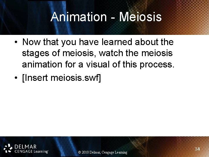 Animation - Meiosis • Now that you have learned about the stages of meiosis,