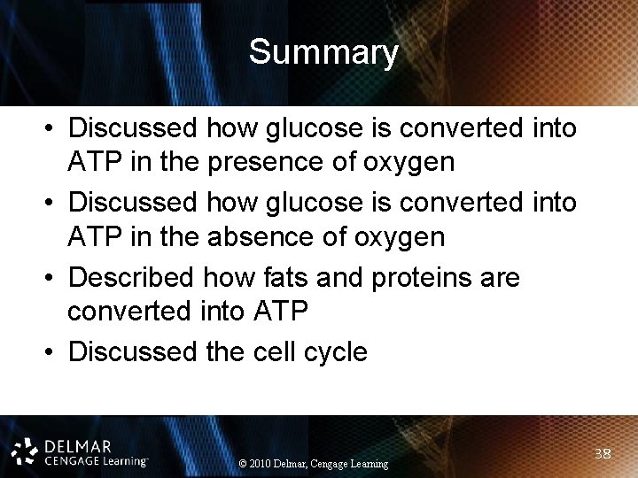 Summary • Discussed how glucose is converted into ATP in the presence of oxygen
