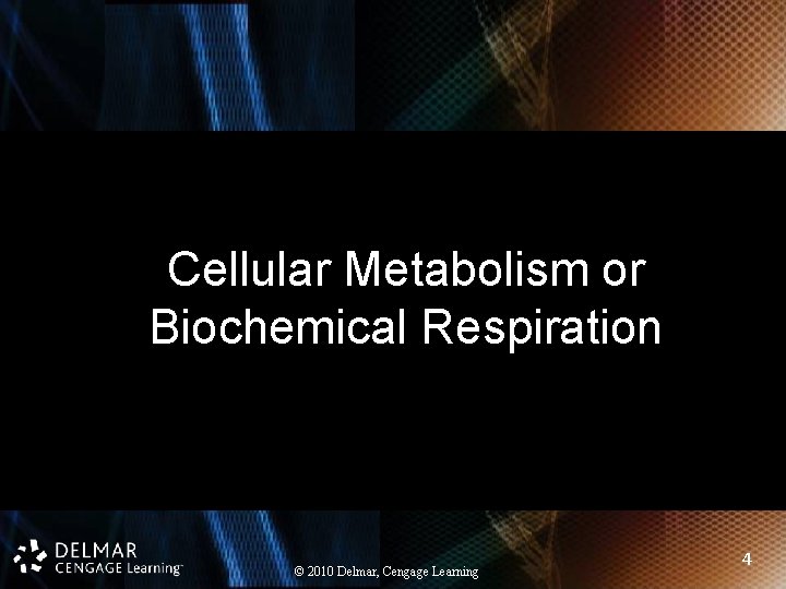 Cellular Metabolism or Biochemical Respiration © 2010 Delmar, Cengage Learning 4 