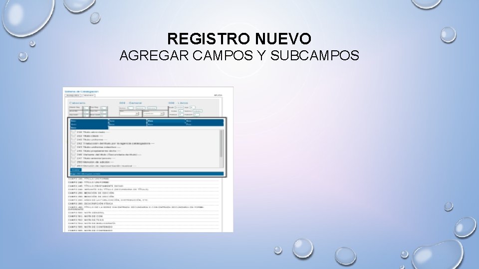 REGISTRO NUEVO AGREGAR CAMPOS Y SUBCAMPOS 