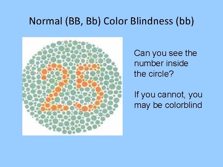 Normal (BB, Bb) Color Blindness (bb) Can you see the number inside the circle?