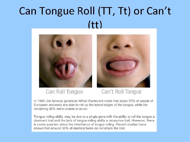 Can Tongue Roll (TT, Tt) or Can’t (tt) 