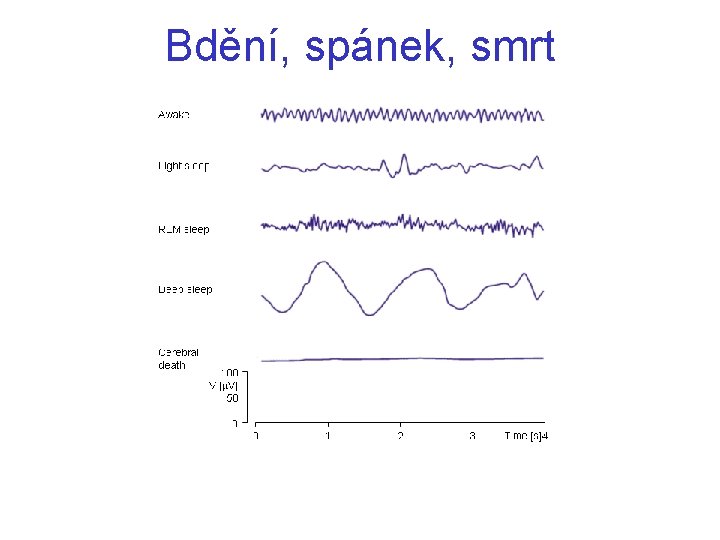 Bdění, spánek, smrt 