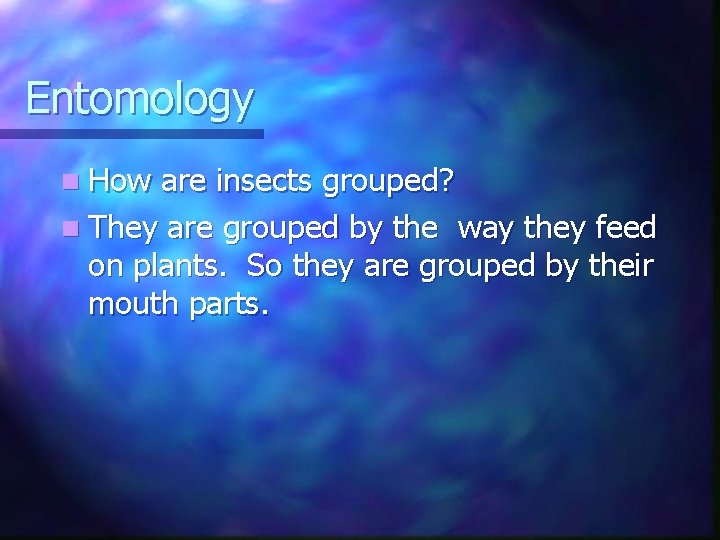 Entomology n How are insects grouped? n They are grouped by the way they