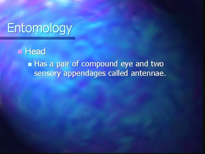 Entomology n Head n Has a pair of compound eye and two sensory appendages