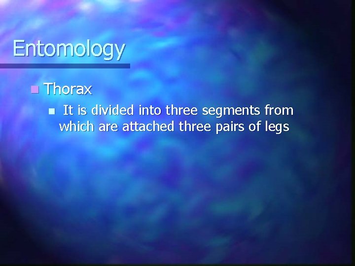 Entomology n Thorax n It is divided into three segments from which are attached