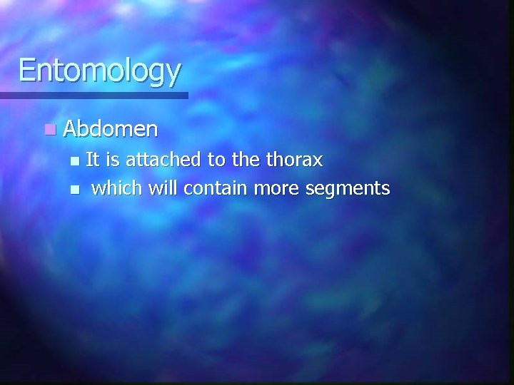 Entomology n Abdomen It is attached to the thorax n which will contain more