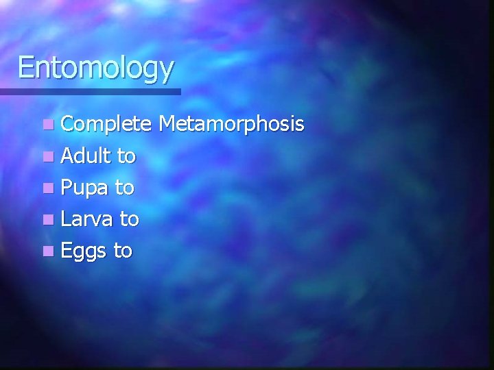 Entomology n Complete n Adult to n Pupa to n Larva to n Eggs