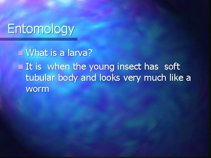 Entomology n What is a larva? n It is when the young insect has