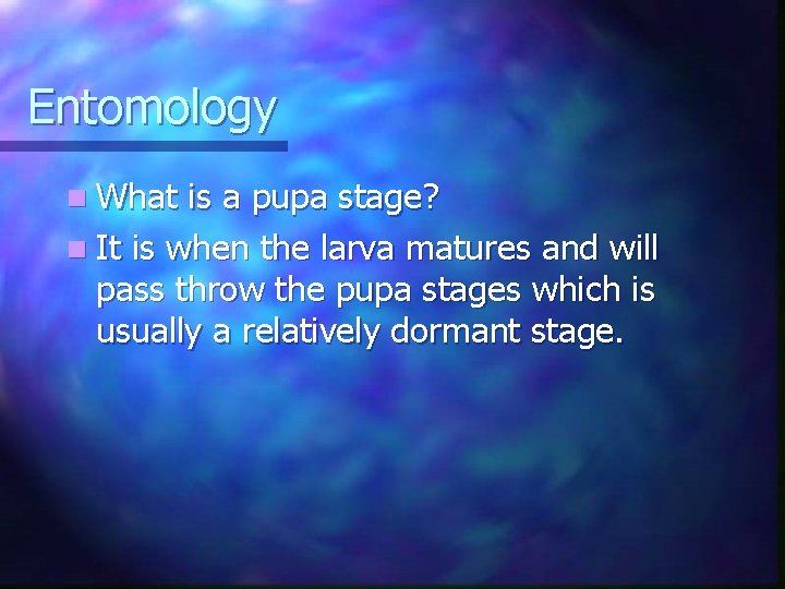 Entomology n What is a pupa stage? n It is when the larva matures