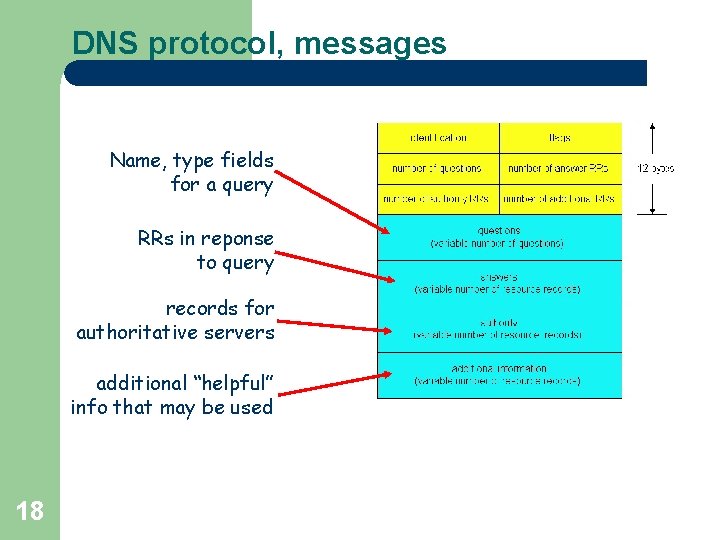 DNS protocol, messages Name, type fields for a query RRs in reponse to query