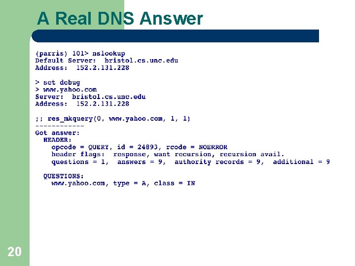 A Real DNS Answer 20 