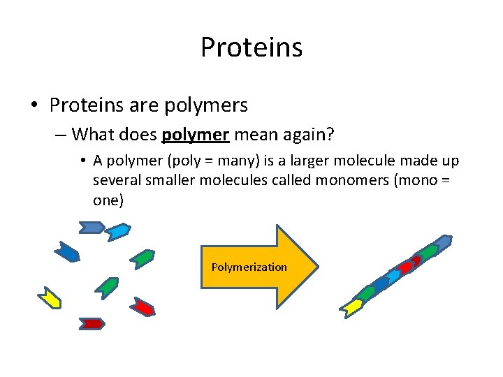 Proteins • Proteins are polymers – What does polymer mean again? • A polymer