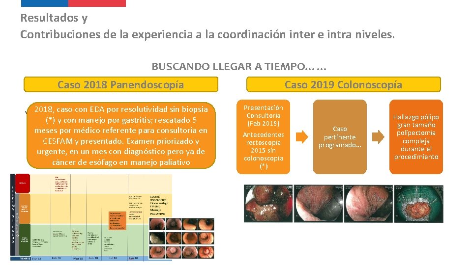 Resultados y Contribuciones de la experiencia a la coordinación inter e intra niveles. BUSCANDO