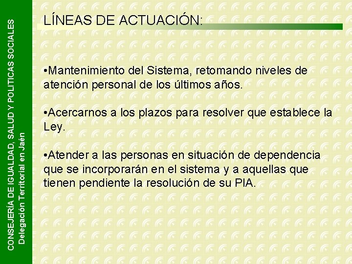 CONSEJERÍA DE IGUALDAD, SALUD Y POLITICAS SOCIALES Delegación Territorial en Jaén LÍNEAS DE ACTUACIÓN: