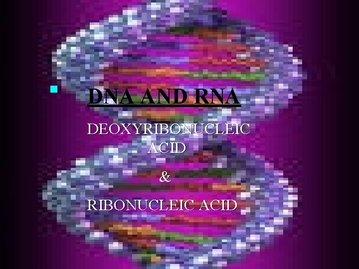 n DNA AND RNA DEOXYRIBONUCLEIC ACID & RIBONUCLEIC ACID 