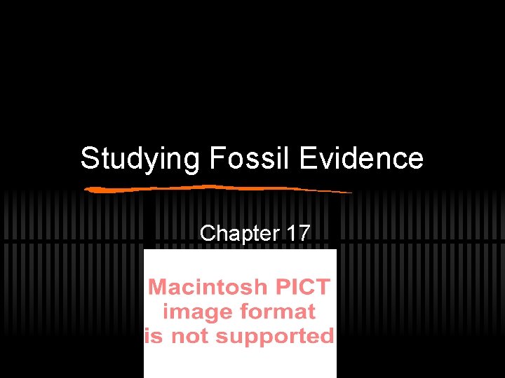 Studying Fossil Evidence Chapter 17 