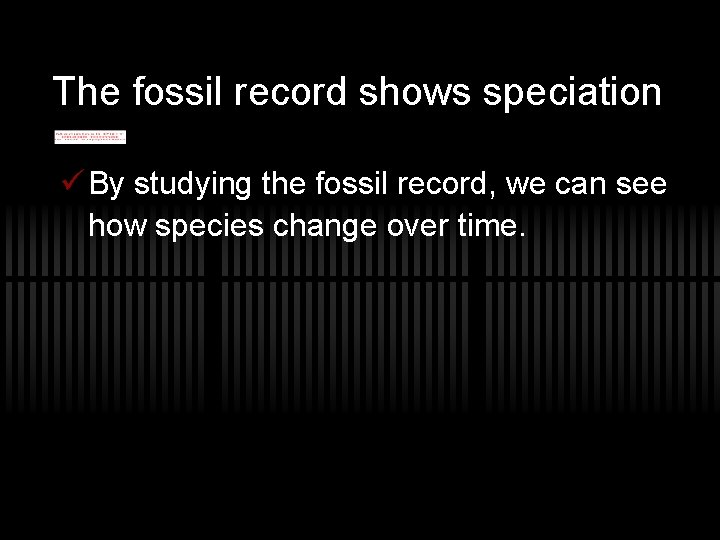 The fossil record shows speciation ü By studying the fossil record, we can see