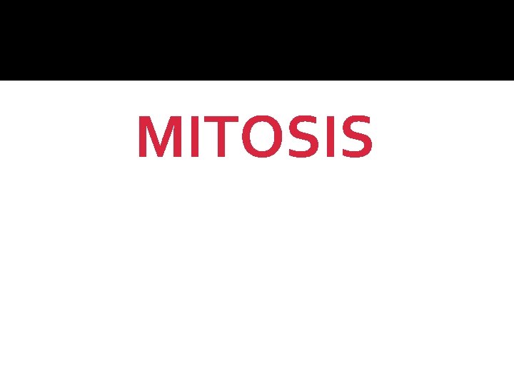 MITOSIS 