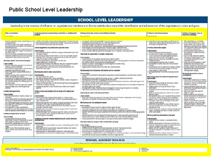 Public School Level Leadership 
