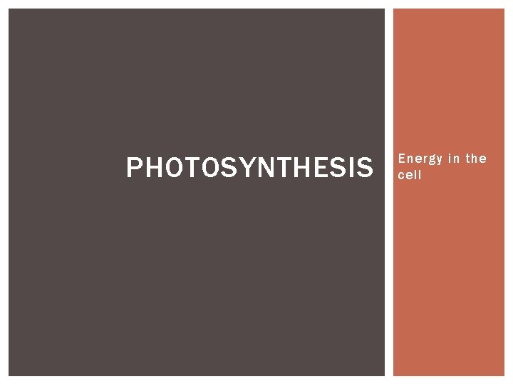 PHOTOSYNTHESIS Energy in the cell PHOTOSYNTHESIS Energy in the cell