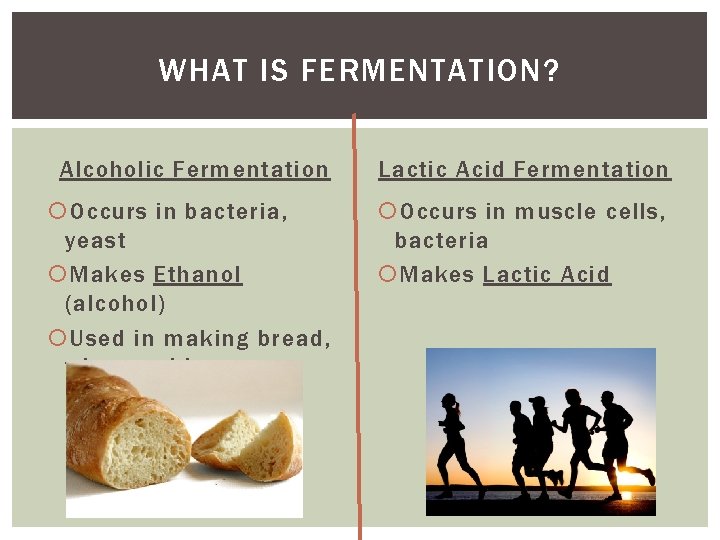 WHAT IS FERMENTATION? Alcoholic Fermentation Lactic Acid Fermentation Occurs in bacteria, yeast Makes Ethanol WHAT IS FERMENTATION? Alcoholic Fermentation Lactic Acid Fermentation Occurs in bacteria, yeast Makes Ethanol