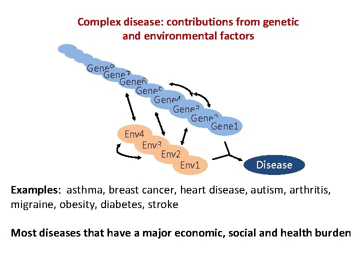 MUS 2046 Genetics in Medicine Finding disease genes