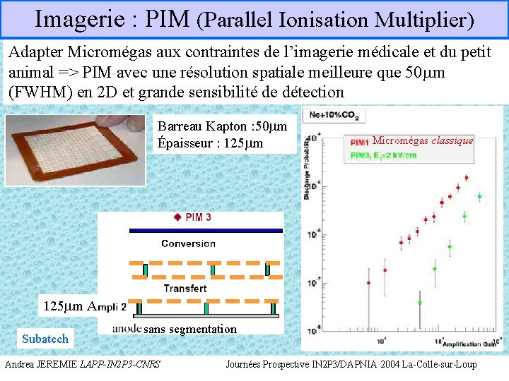 Imagerie : PIM (Parallel Ionisation Multiplier) Adapter Micromégas aux contraintes de l’imagerie médicale et