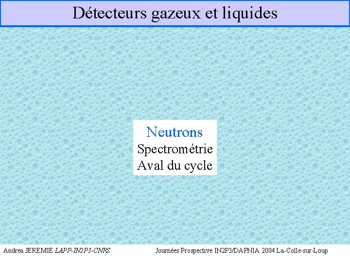 Détecteurs gazeux et liquides Neutrons Spectrométrie Aval du cycle Andrea JEREMIE LAPP-IN 2 P