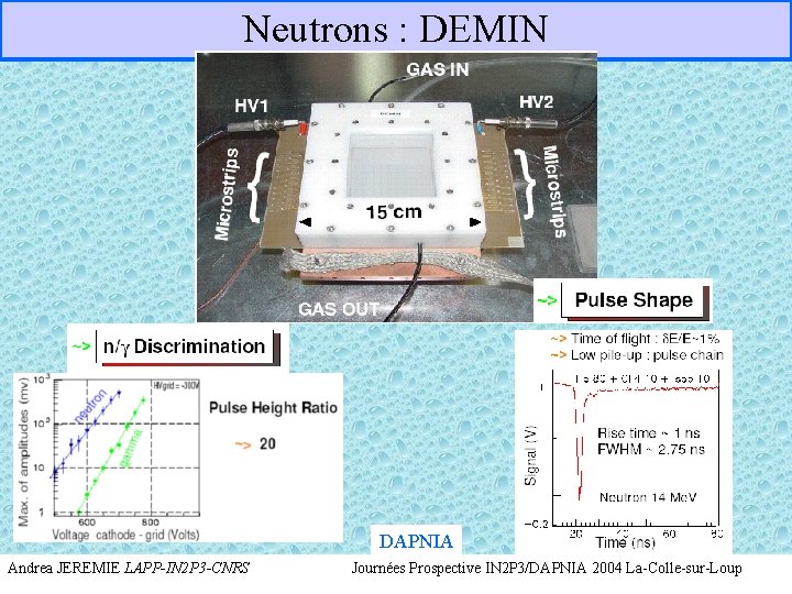 Neutrons : DEMIN DAPNIA Andrea JEREMIE LAPP-IN 2 P 3 -CNRS Journées Prospective IN