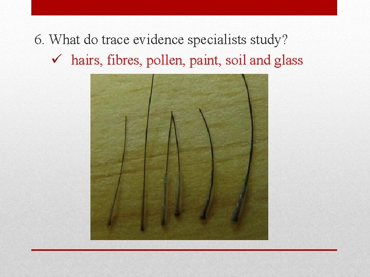 6. What do trace evidence specialists study? ü hairs, fibres, pollen, paint, soil and