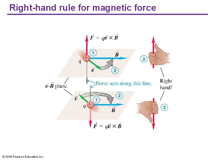 Right-hand rule for magnetic force © 2016 Pearson Education Inc. 